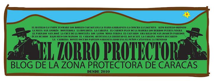 EL ZORRO PROTECTOR