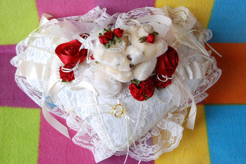 [Ring-Pillow-0041.jpg]