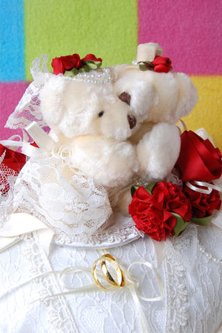 [Ring-Pillow-0042.jpg]