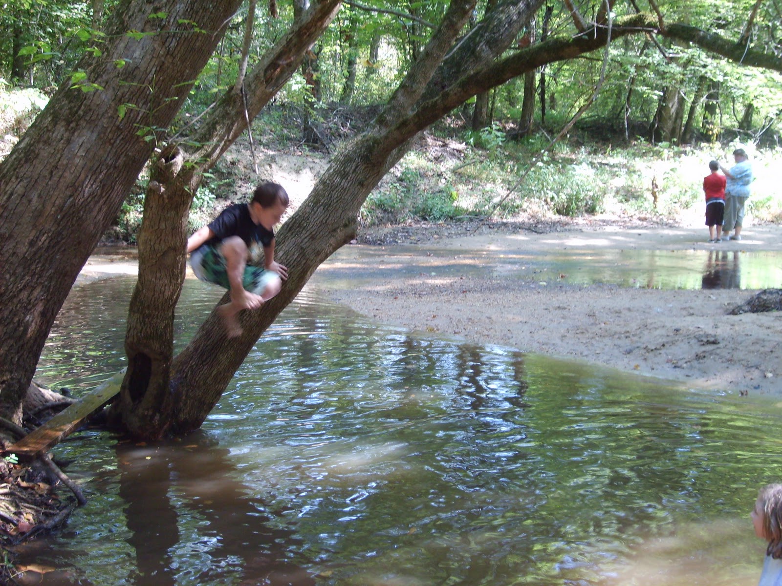 Stamping Yellow Jacket Shark Tooth Creek