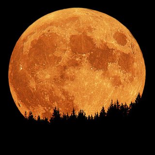 [lua[1].jpg]