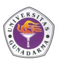 GUNADARMA UNIVERSITY