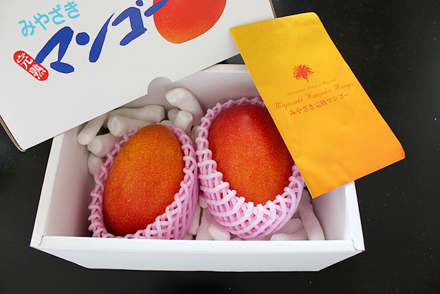 アサイー blogger