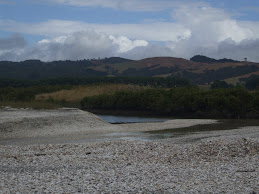 Landscape at Miranda, NZ
