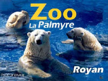 Le Zoo de La Palmyre à 40min