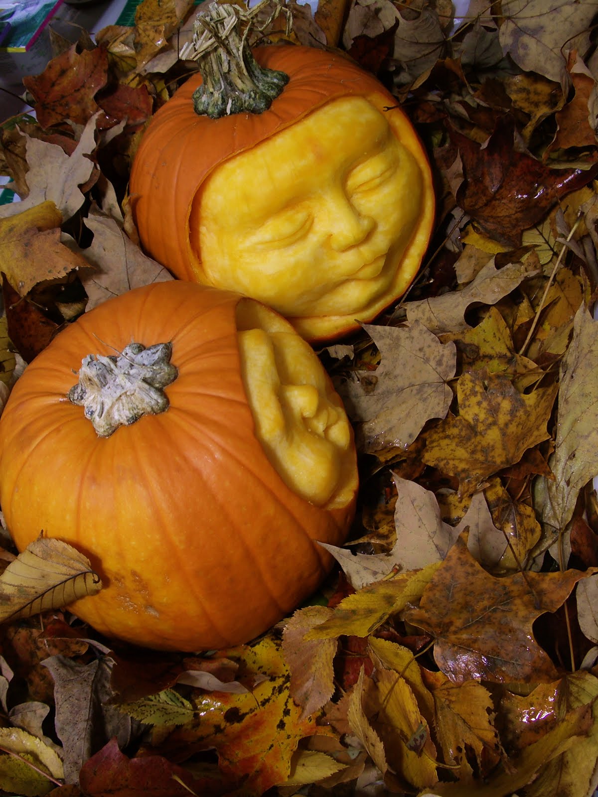 Offerings: October 2010