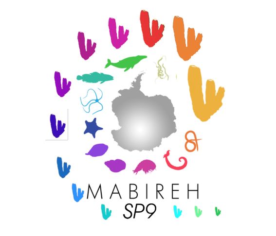 Projeto MABIREH subprojeto 9