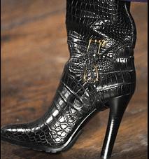 [reptile+boot.JPG]