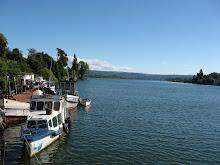 Río Valdivia