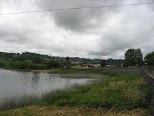 PLAYA LAGO PANGUIPULLI