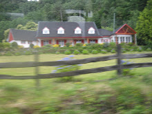Casas camino a NELTUME