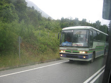 Buses que van a Neltume