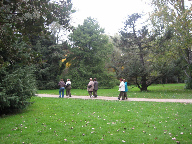 Gente tercera edad paseando por Jardín Botánico