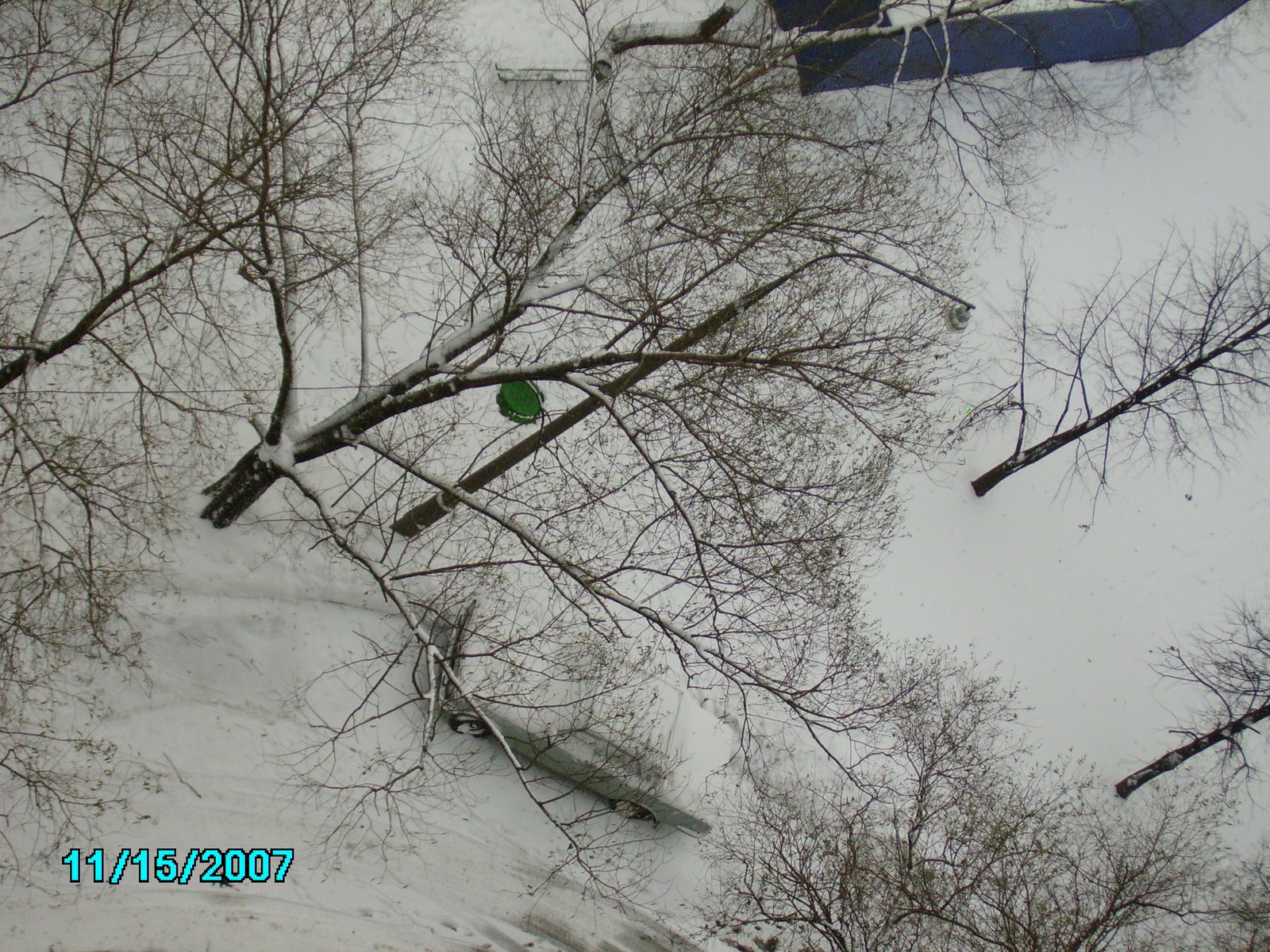 [PICT0114.JPG]