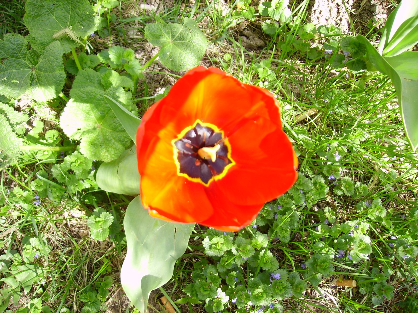 [PICT0581.JPG]