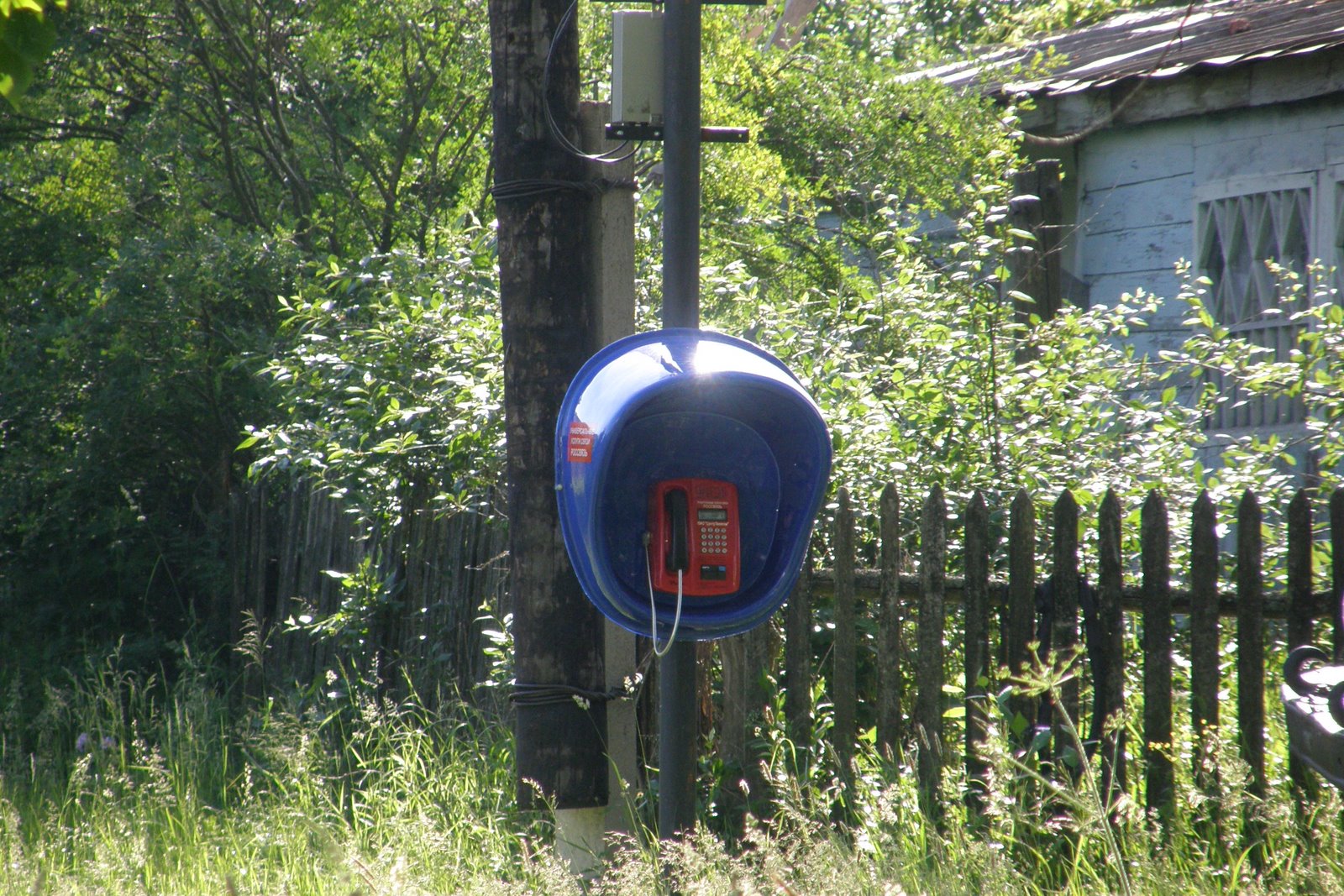 [P6152984.JPG]