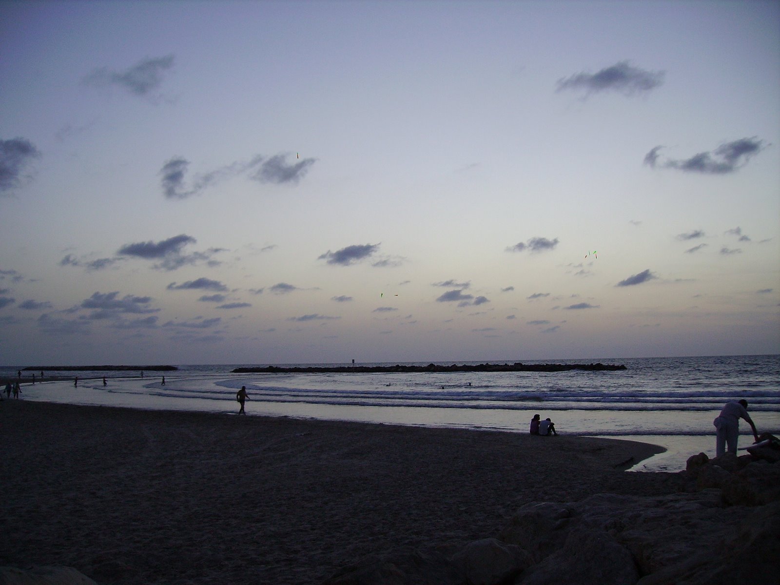 [PICT0652.JPG]