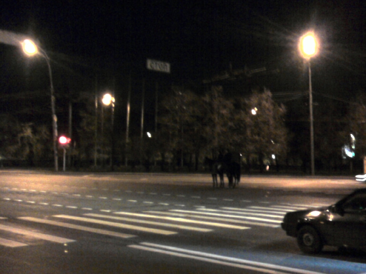 [Photo005.jpg]