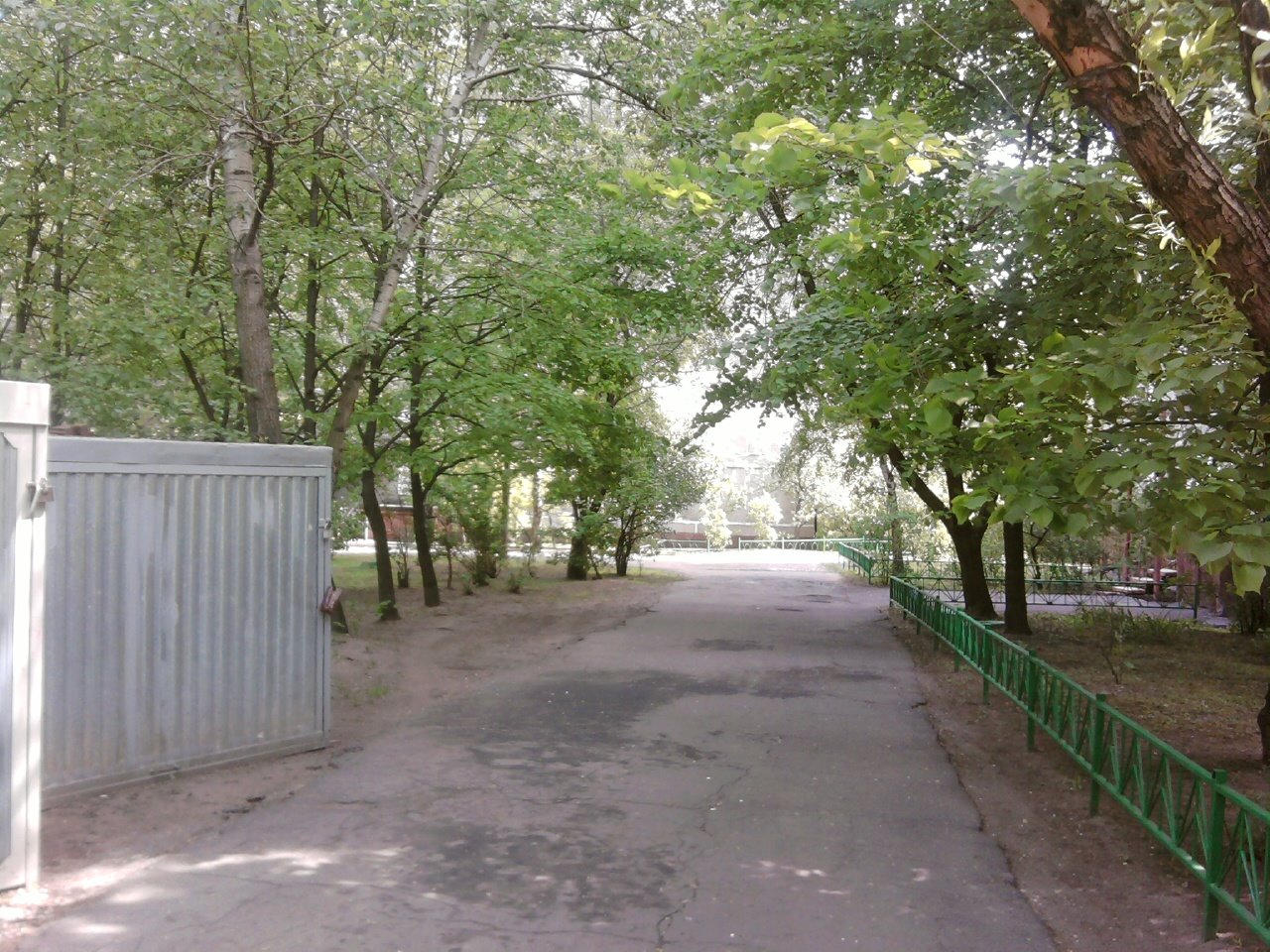 [Photo025.jpg]