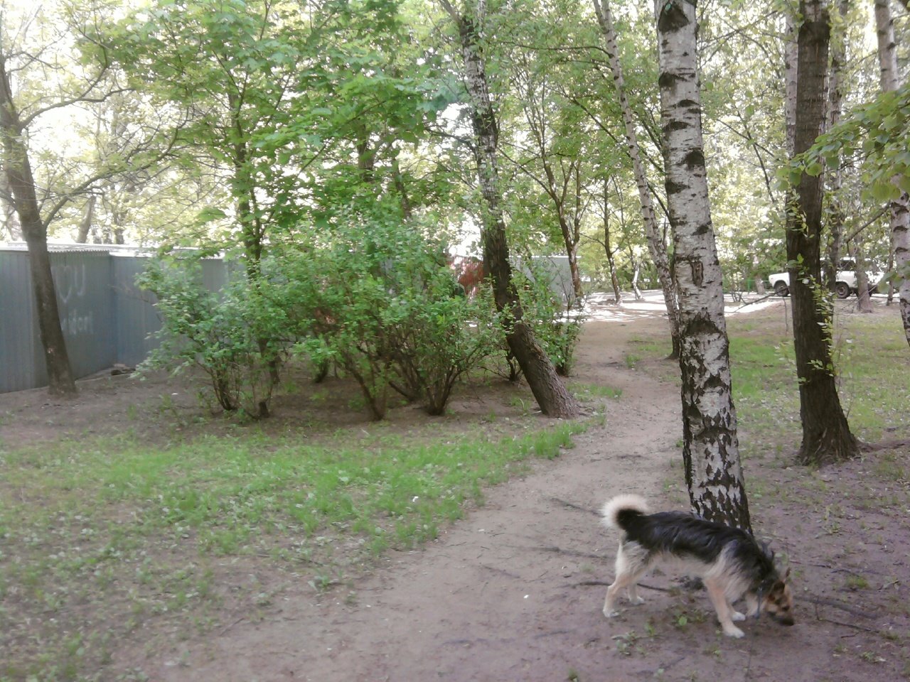[Photo032.jpg]
