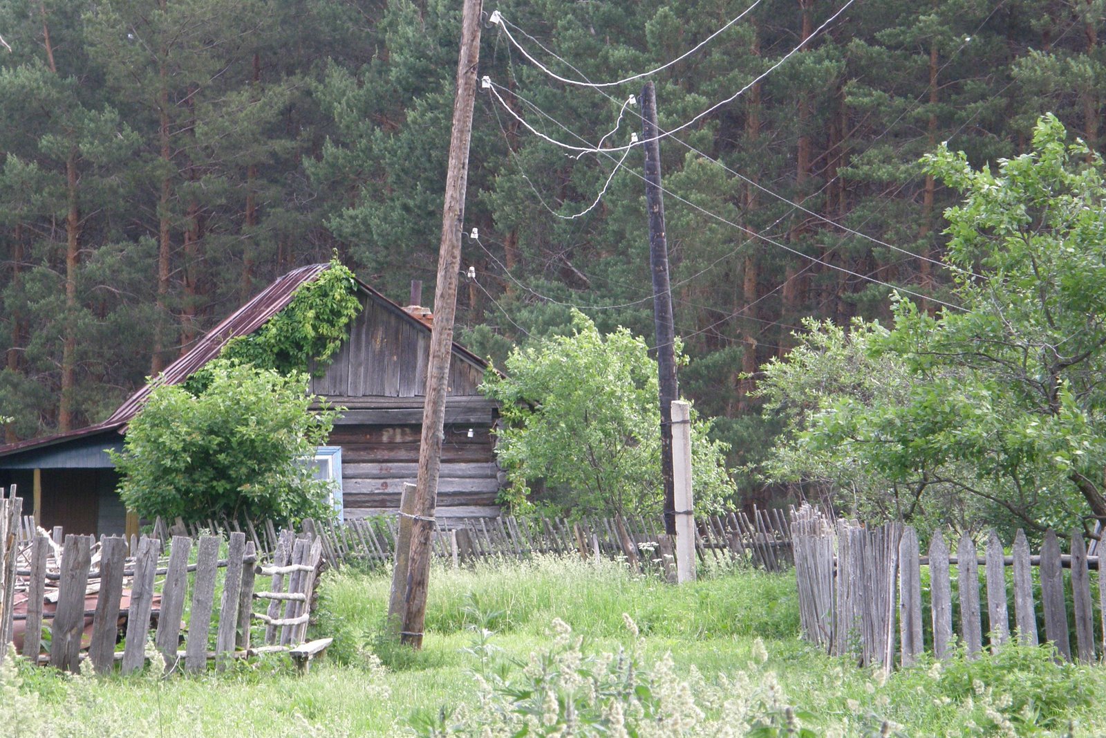[P6133894.JPG]