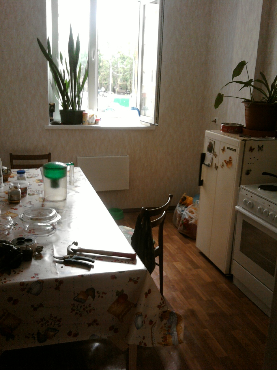 [Photo010.jpg]