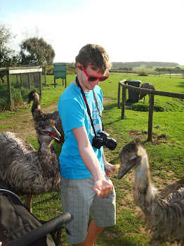 Crazed Emus