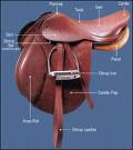 A horses saddle