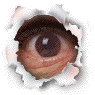 Te sigo viendo