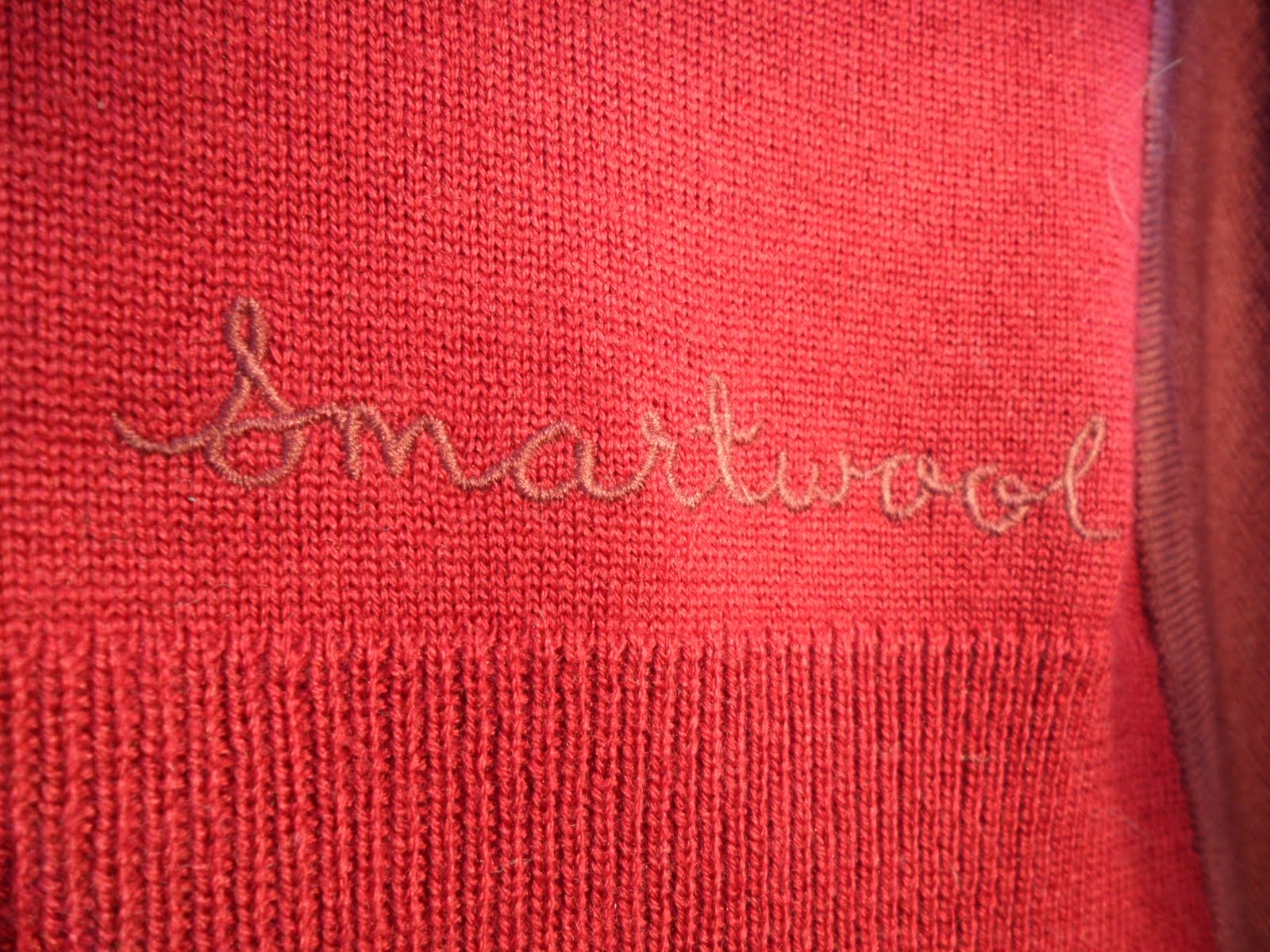 smartwool cycling jersey