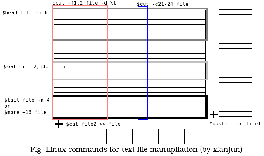 [linuxcommand.png]