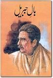 sharah bal e jabreel sharah bal e jabreel
