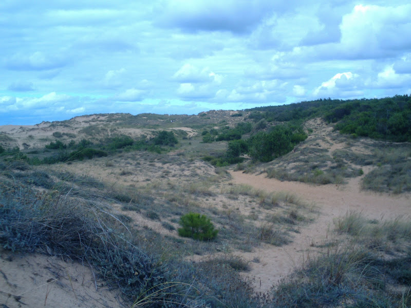 Dunas de Liencres Dunas de Liencres