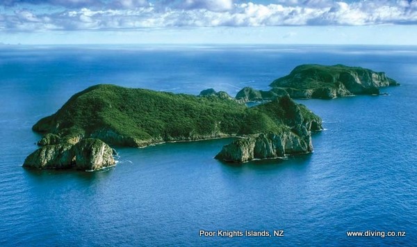 Wayne Sheard Island Alt_Whangarei+Poor+Knights+Islands+marine+reserve