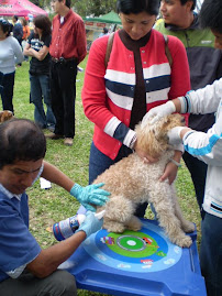 DIA MUNDIAL DE LOS ANIMALES