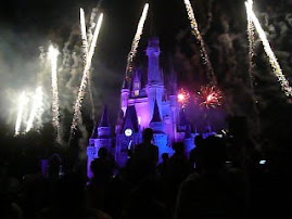 Magic Kingdom - Disneyland