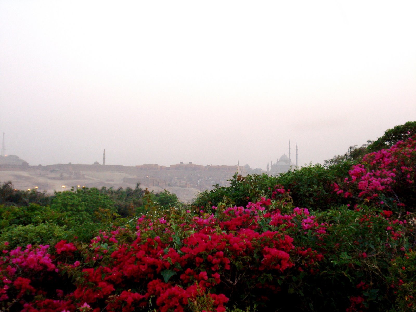 [DSC04466.JPG]