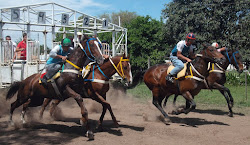 HIPODROMO SAN JOSE, RINCON DE NOGOYA