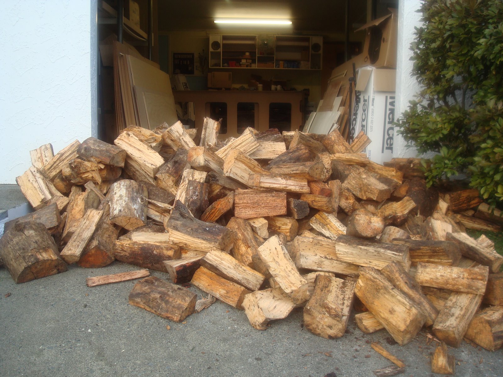 [046_firewood.JPG]