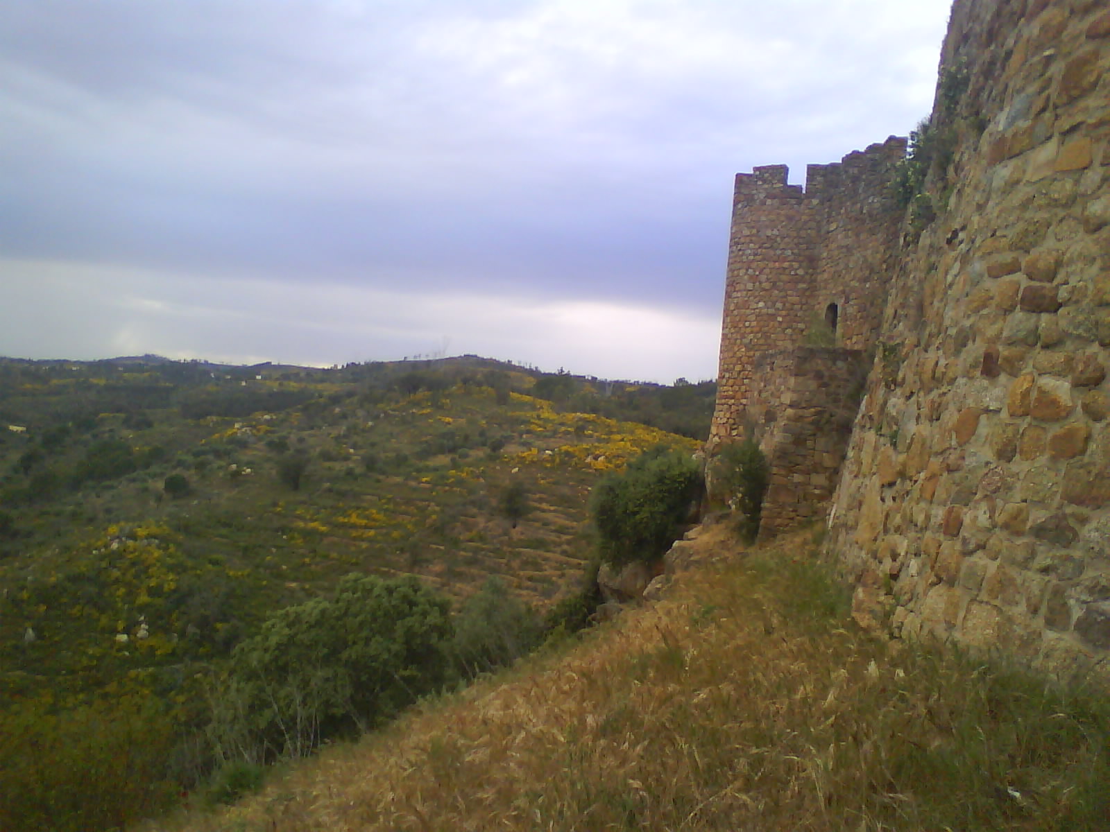 [DSC01184.JPG]