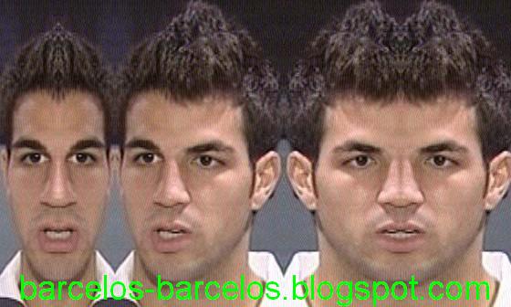 [cesc+fábregas.JPG]