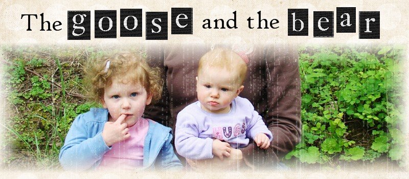 The Goose and the Bear