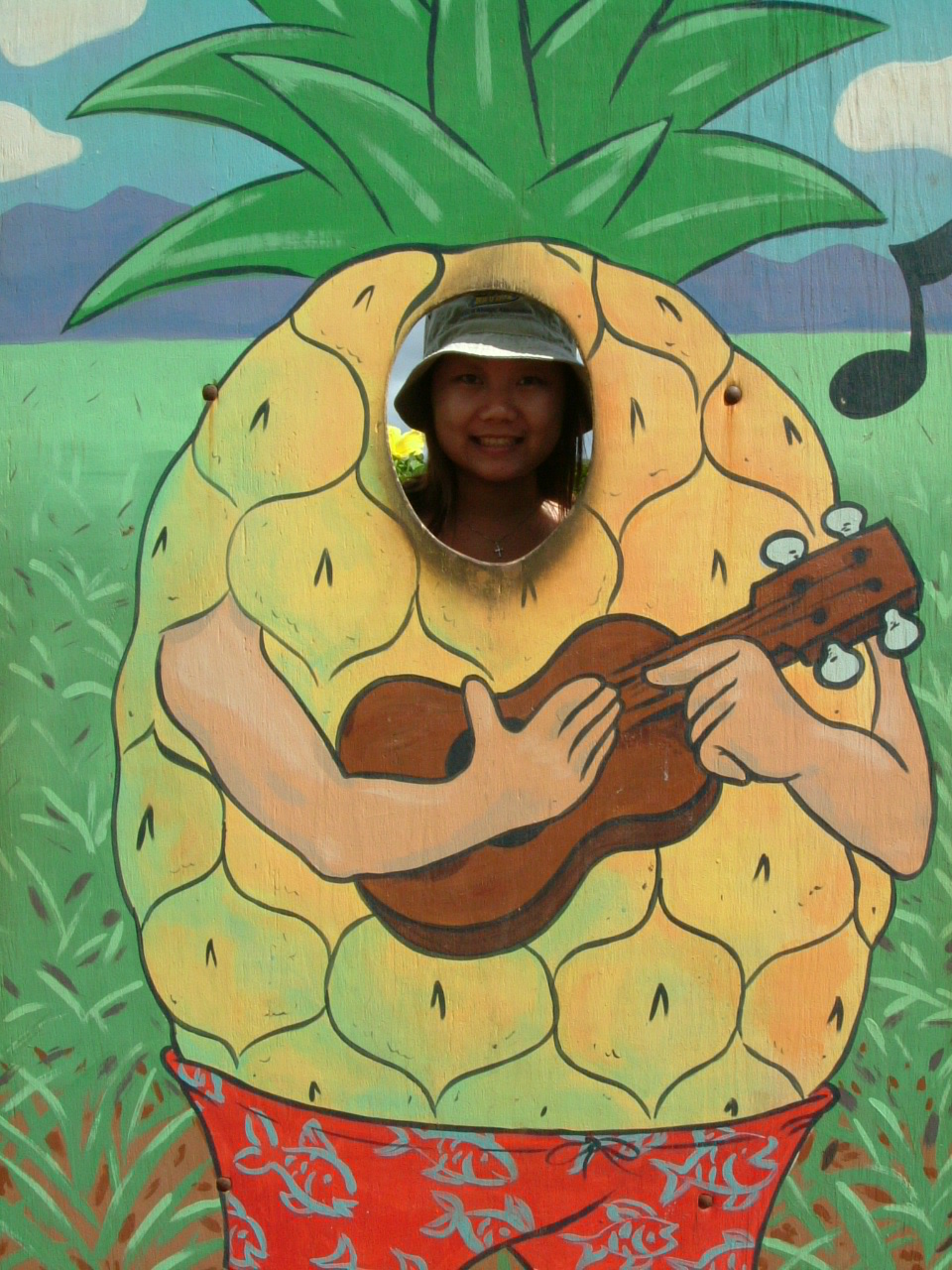 hoolawhoop pineapple heads