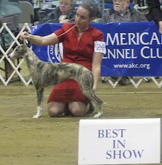 Best in Show