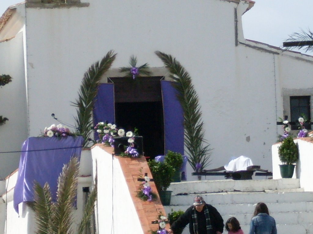 [SDC11060.JPG]