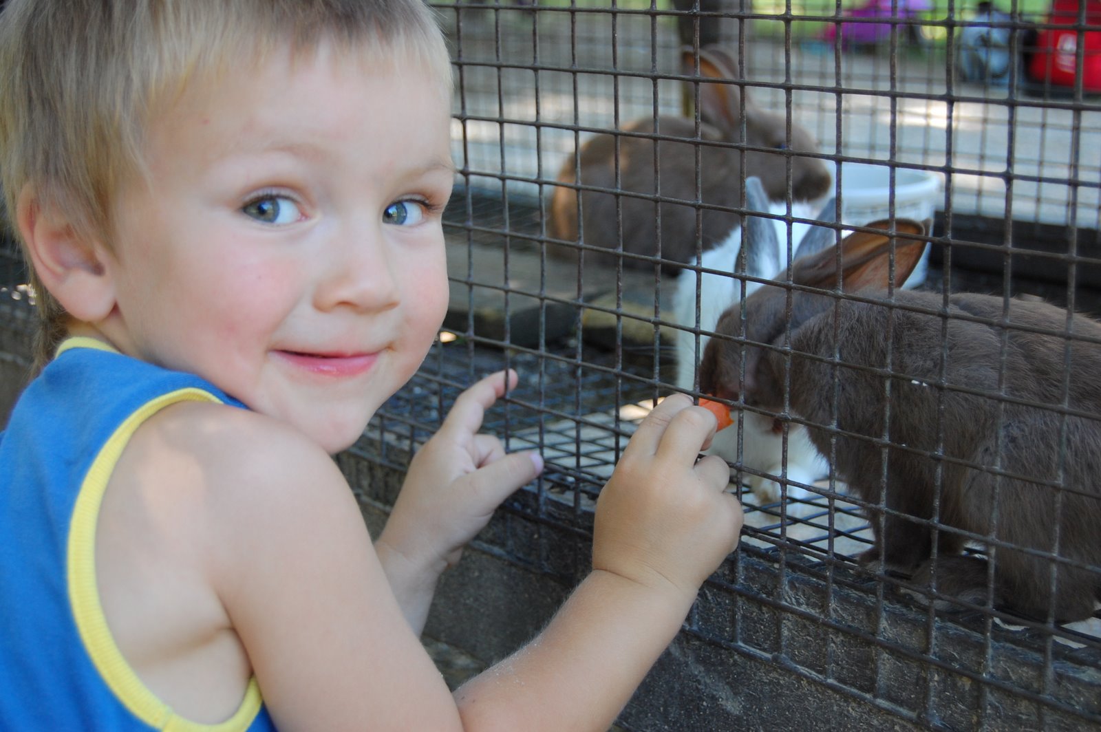 [Summer+time+fun+2008+037.JPG]