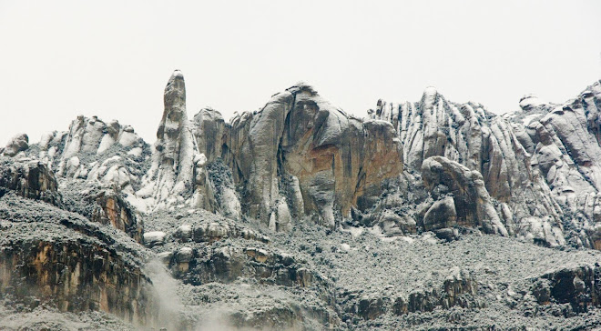 MONTSERRAT NEVADA.(caranorte)