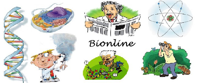 Bionline