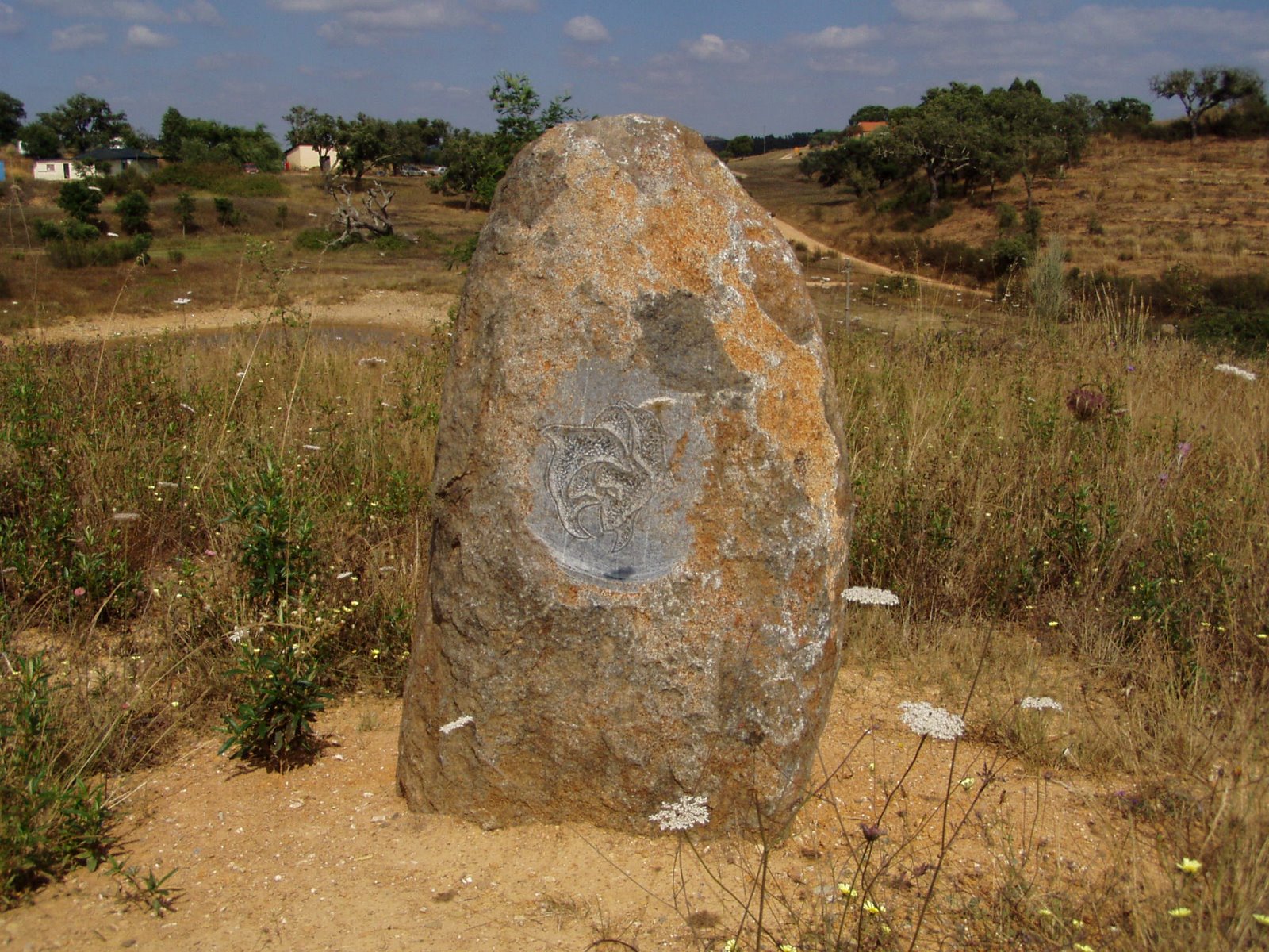 [118+Delphinstein.jpg]