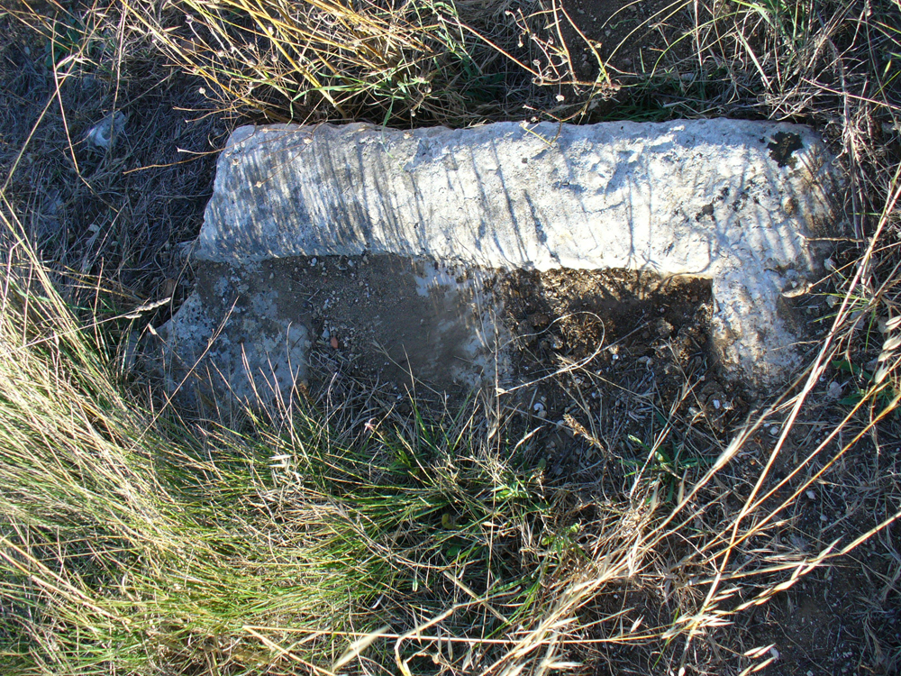 [Pinheirinhos2m.jpg]